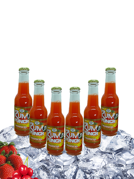 Double Strength Tropical Rum Punch - 6 pack - 200ml